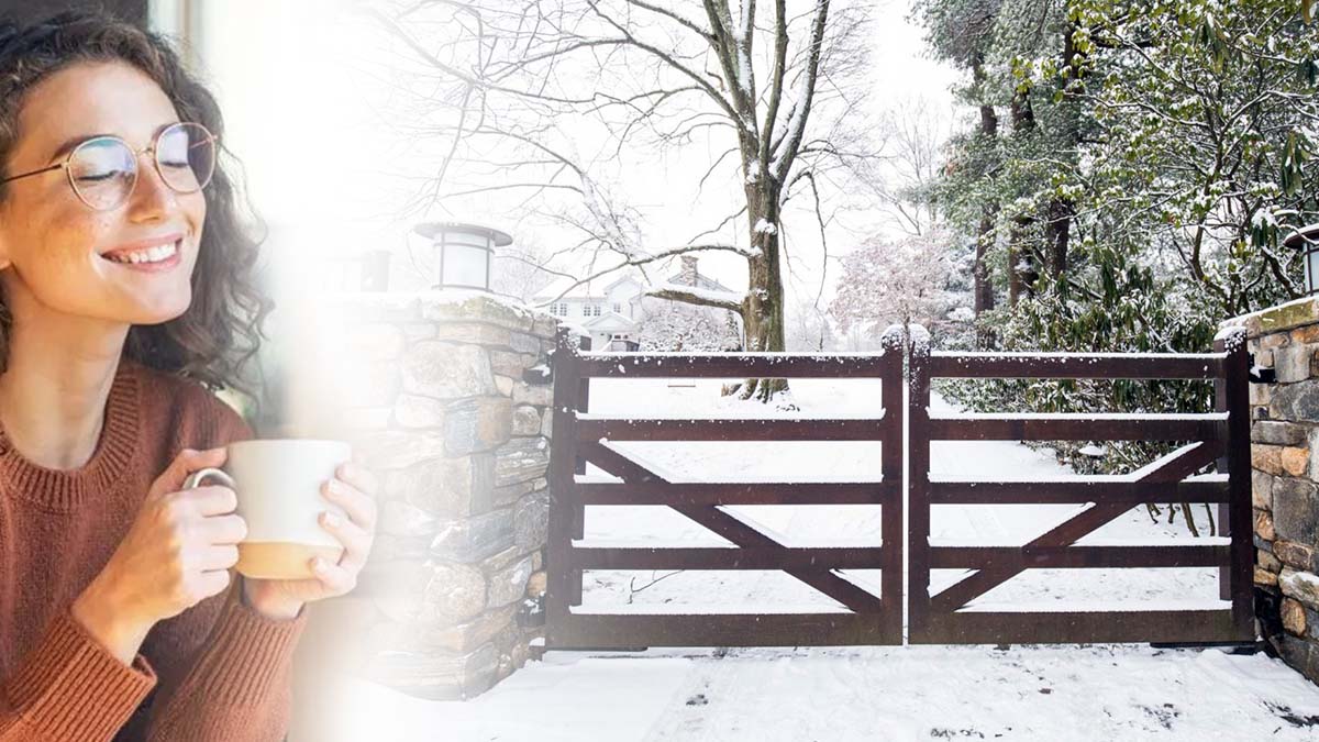 TOPENS automatic gate opener electric gate opener automatic gate operator automatic single swing gate opener automatic dual swing gate opener automatic sliding gate opener electric swing gate operator sliding gate operator automatic gate motor