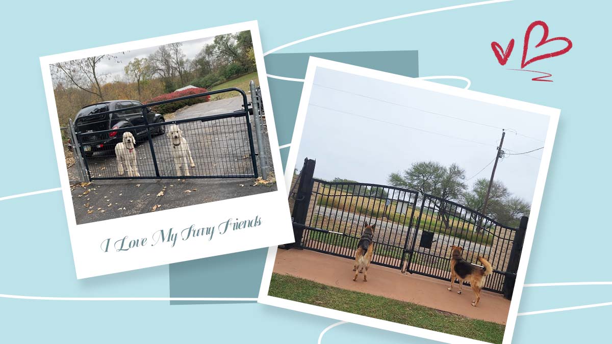 TOPENS automatic gate opener accessories electric gate opener automatic gate operator automatic single swing gate opener automatic dual swing gate opener automatic sliding gate opener electric swing gate operator sliding gate operator
