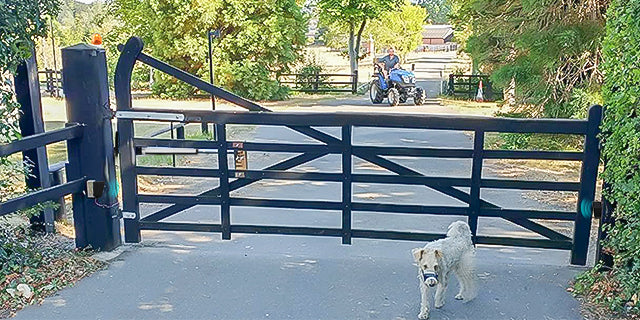 TOPENS automatic gate opener electric gate opener automatic gate operator automatic single swing gate opener automatic swing gate opener electric swing gate operator automatic gate motor