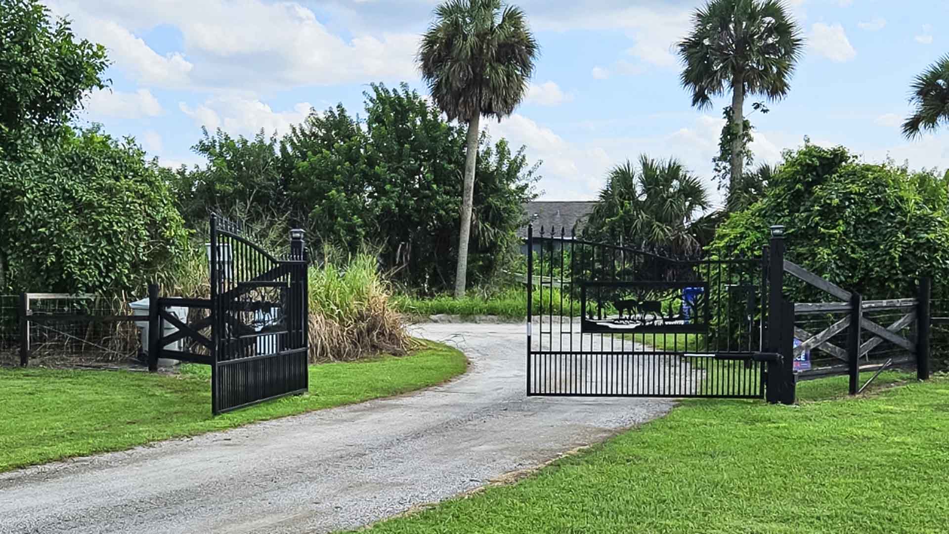 Gate Opener Swing Gate