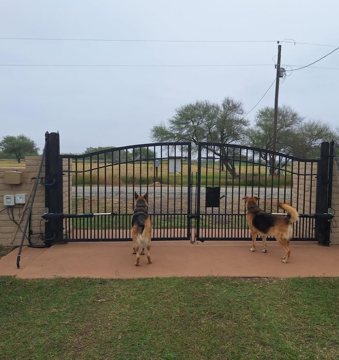 PW802 Heavy Duty Dual Swing Gate Opener in real life