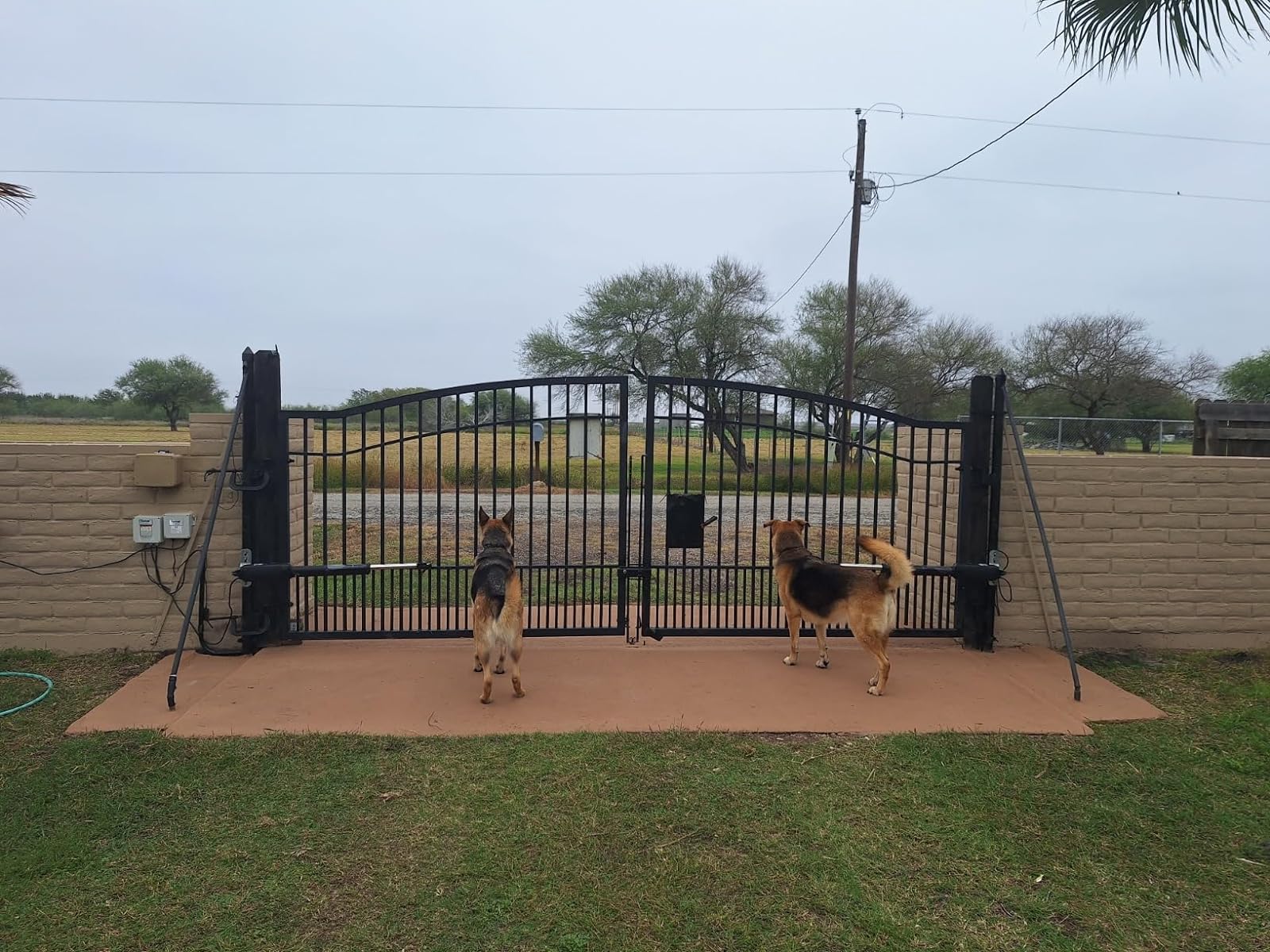 PW802 Heavy Duty Dual Swing Gate Opener in real life