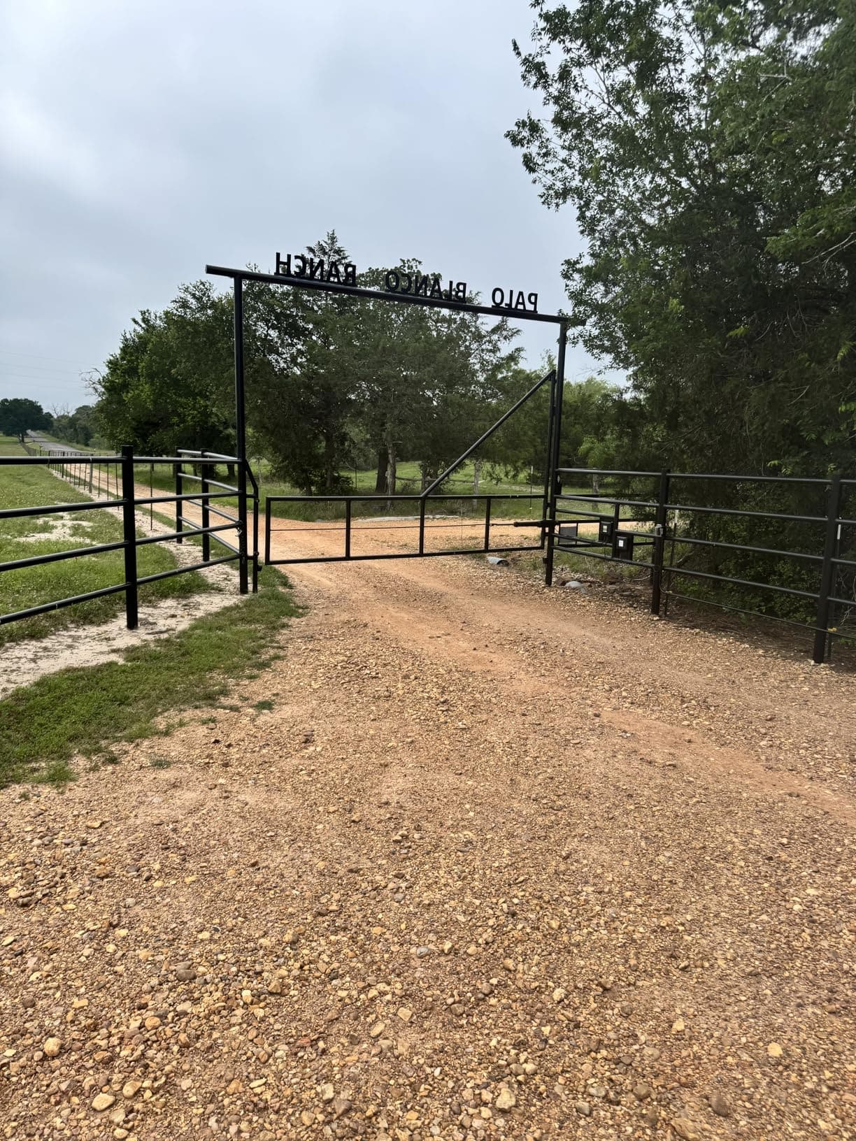 XD851 Smart Single Swing Gate Opener with App Control in real life